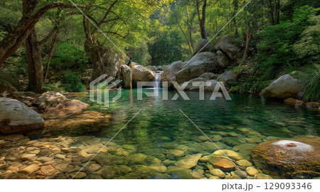 エメラルドグリーンに輝く夏の渓流と透明な水 129093346