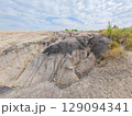 Tailings and waste sand  in  mined open pit coal quarry. Heavy erosion 129094341