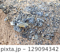 Tailings and waste sand  in  mined open pit coal quarry. Heavy erosion 129094342