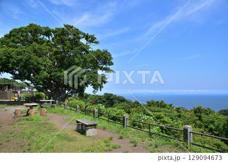 大磯・湘南平・高麗山公園からの相模湾の眺め 129094673