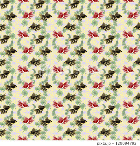 金魚 1-2 129094792