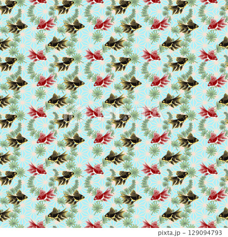 金魚 1-3 129094793