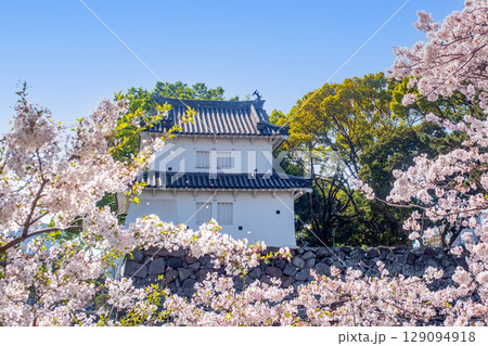大分府内城址と満開の桜 129094918