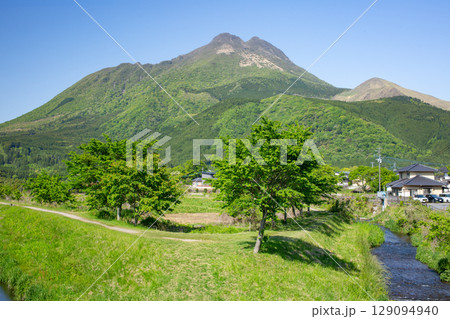 5月の湯布院由布岳 129094940
