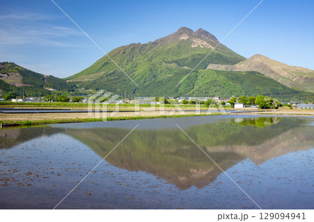 新緑の由布岳と水を張った水田 129094941