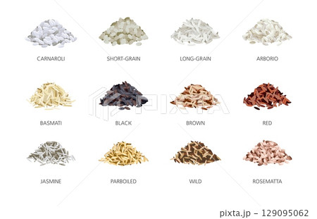 Rice types. Handfuls of grains, different varieties, asian grain culture, processed seeds, round, long, jasmine, red and brown, nutrition elements, healthy natural products, tidy vector set 129095062