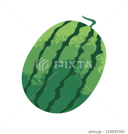 Watermelon fruit isolated on white background. Cartoon fruit. Vector illustration 129095365