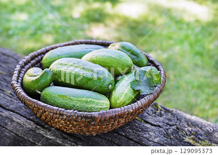 Cucumber Cucumber 129095373