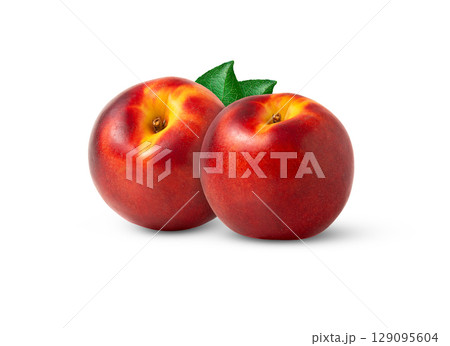 Two juicy organic nectarine peaches and leaves isolated. Ripe nectarine peach and a leaf with clipping path. 129095604