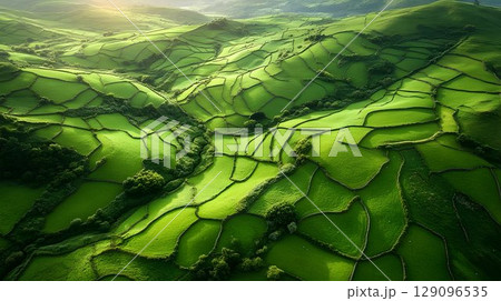 Aerial view of rolling green hills and fields idyllic countryside scenery Aerial view of rolling green hills and fields idyllic countryside scenery 129096535
