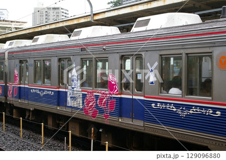 伊豆急8000系 伊豆急8000系 129096880