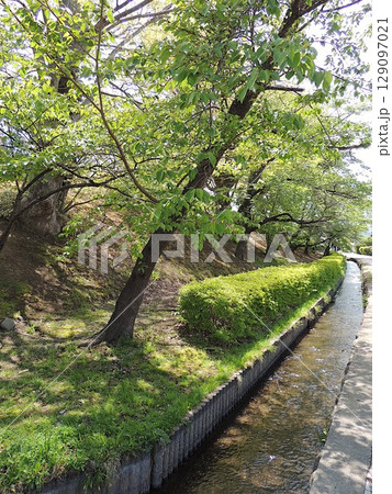 伴野城跡 土塁と堀 伴野城跡 土塁と堀 129097021