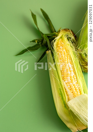 natural corn in husk close up studio natural corn in husk close up studio 129097031