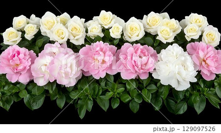 Pastel flowers arrangement image 129097526