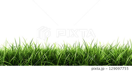 White Background with Grass Footer, Grass Footer on White Background - Ai Generated 129097755