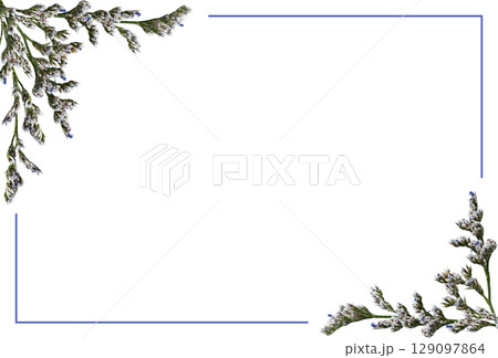 Corner arrangements with small twigs of limonium flowers and a blue frame isolated on white Corner arrangements with small twigs of limonium flowers and a blue frame isolated on white 129097864