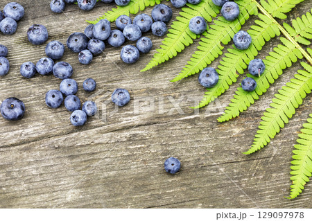 Blueberries picking. Eco friendly, summer composition with organic, wild blueberries on a wooden background with fern leaf. Healthy natural food. Harvesting concept. Closeup Blueberries picking. Eco friendly, summer composition with organic, wild blueberries on a wooden background with fern leaf. Healthy natural food. Harvesting concept. Closeup 129097978