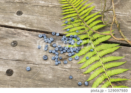 Immune boosting and natural remedy for immunity concept. Food, summer composition with organic, wild blueberries and fern leave on a wooden background. Eco friendly, mindful eating 129097980