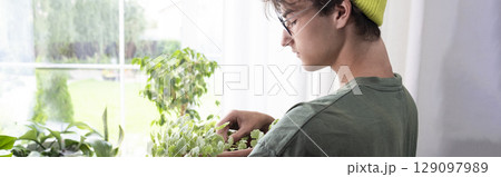 Home plants and the environment A young man is taking care of plants at home. Ampel climbing plant . Glechoma hederacea. Home plants and the environment A young man is taking care of plants at home. Ampel climbing plant . Glechoma hederacea. 129097989