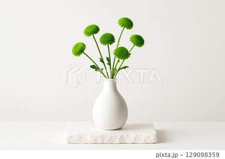 Green Chrysanthemums Arranged in White Vase on Stone Pedestal 129098359