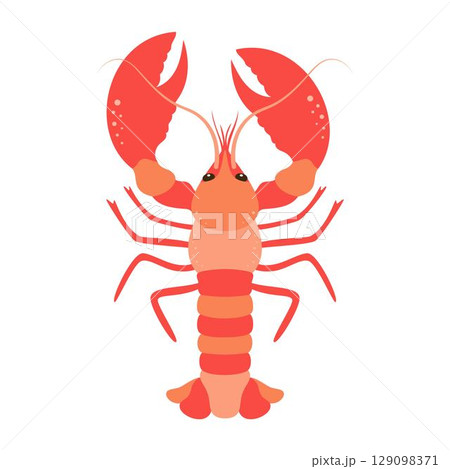 cartoon lobster isolated, flat style 129098371
