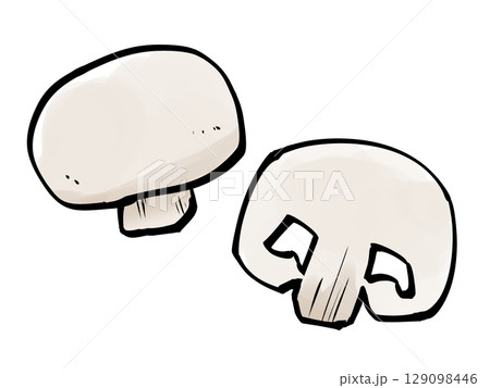 筆 マッシュルーム キノコ 断面 129098446