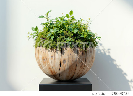 木製の地球型プランターと緑の植物が織りなすエコと再生の造形美 129098785