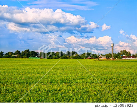 Green grass field lawn with tree and a village on horizon against blue sky. Field clouds horizon. Green grass field lawn with tree and a village on horizon against blue sky. Field clouds horizon. 129098922