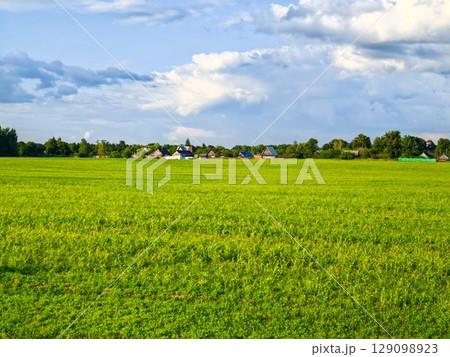 Green grass field lawn with tree and a village on horizon against blue sky. Field clouds horizon. Green grass field lawn with tree and a village on horizon against blue sky. Field clouds horizon. 129098923