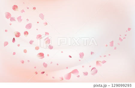 Delicate light pink sakura flowers flow. Wind swirls 129099293