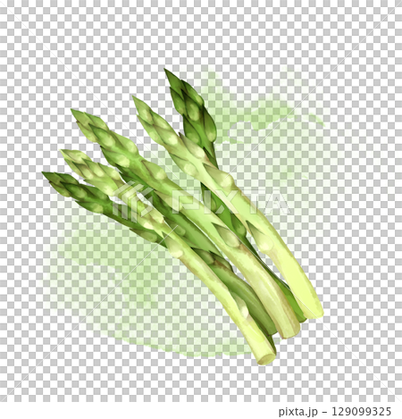 Asparagus. Hand-drawn eco food illustration 129099325