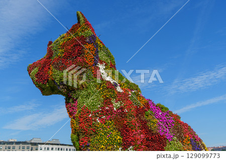 the city of bilbao in spain the city of bilbao in spain 129099773