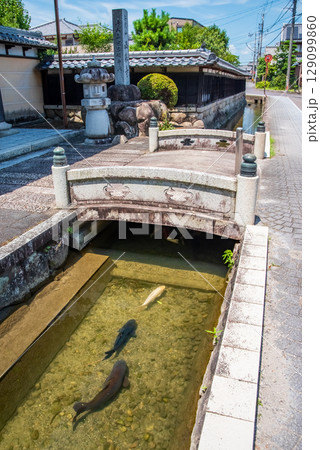 鯉が泳ぐ「智積養水」（三重県四日市市 智積町） 129099860