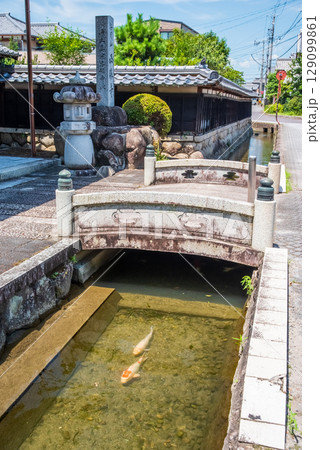 鯉が泳ぐ「智積養水」（三重県四日市市 智積町） 129099861