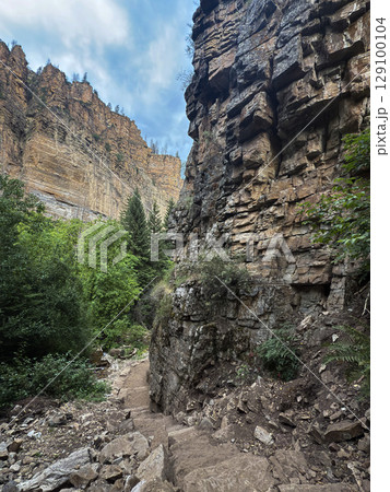 Rocky Canyon Trail with Lush Forest and Cliff Walls in Colorado Wilderness Rocky Canyon Trail with Lush Forest and Cliff Walls in Colorado Wilderness 129100104