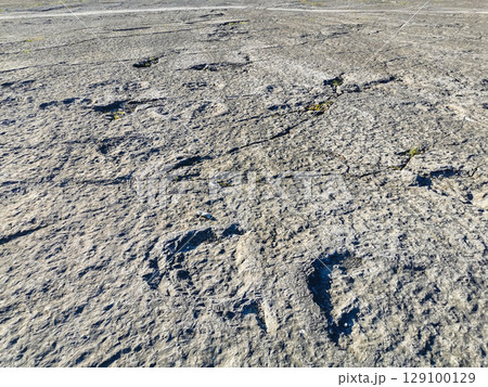 Natural monument of fossil dinosaur footprints in Portugal. Pedagogical circuit and visitors can see and touch the footprints Natural monument of fossil dinosaur footprints in Portugal. Pedagogical circuit and visitors can see and touch the footprints 129100129