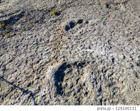 Natural monument of fossil dinosaur footprints in Portugal. Pedagogical circuit and visitors can see and touch the footprints Natural monument of fossil dinosaur footprints in Portugal. Pedagogical circuit and visitors can see and touch the footprints 129100131