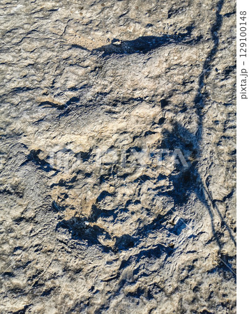 Natural monument of fossil dinosaur footprints in Portugal. Pedagogical circuit and visitors can see and touch the footprints Natural monument of fossil dinosaur footprints in Portugal. Pedagogical circuit and visitors can see and touch the footprints 129100148