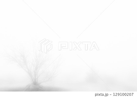 Foggy atmosphere enveloping the landscape 129100207