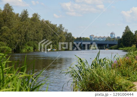 A Serene River Landscape Featuring Lush Greenery and a Beautifully Designed Bridge 129100444
