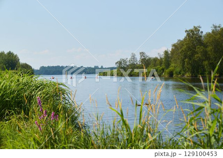 A stunning scenic river view adorned with lush greenery, featuring enthusiastic kayakers 129100453