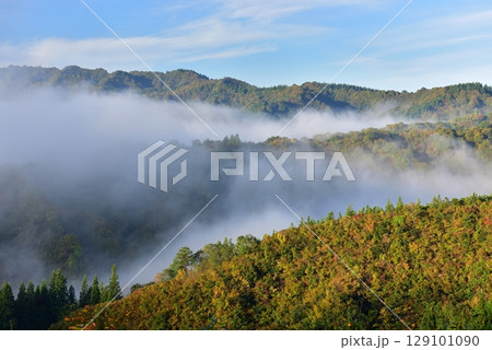 浦佐・ヤゴ平林道東屋からの魚沼盆地の雲海 129101090