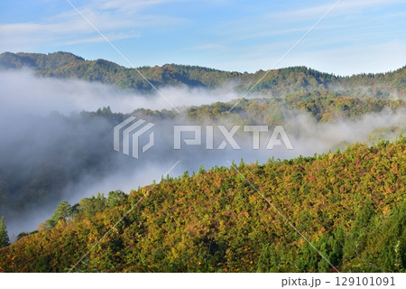 浦佐・ヤゴ平林道東屋からの魚沼盆地の雲海 129101091