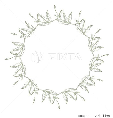 Wreath of clovers buds. Meadow flower vector ink illustration. Handmade ink art work. For packaging design, cards, cover, prints, product labels and fabric. 129101166