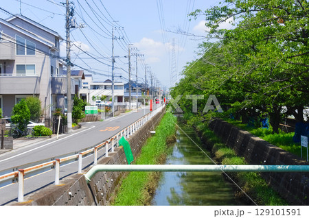 埼玉県吉川市二郷半領用水路2025年7月 129101591