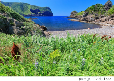 【島根県】快晴の国賀海岸の国賀浜(隠岐の島 西ノ島) 【島根県】快晴の国賀海岸の国賀浜(隠岐の島 西ノ島) 129101682