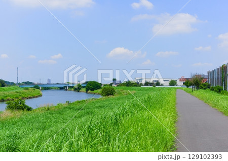 埼玉県越谷市元荒川沿いの風景2025年7月 129102393