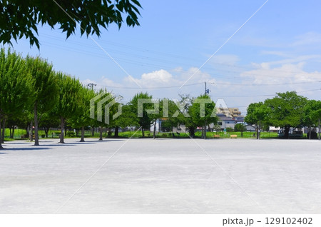 東京都葛飾区高砂北公園周辺2025年7月 129102402