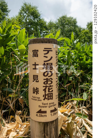 野反湖の湖畔　ハイキングコースの道標　テン場のお花畑 129102420