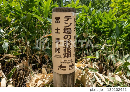 野反湖の湖畔　ハイキングコースの道標　テン場のお花畑 129102421